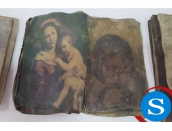 Ceylan Derisi Kitap Alanlar